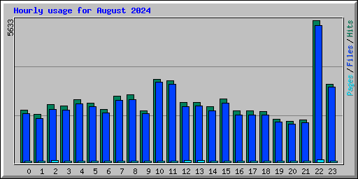 Hourly usage for August 2024